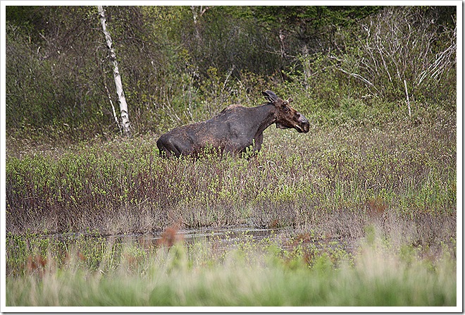 IMG_3157