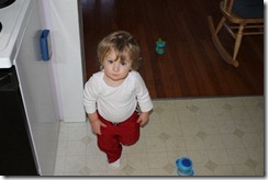 Theodore stares me down at Grammy's