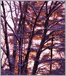IMG_6851