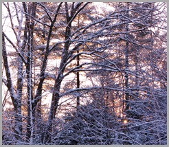 IMG_6855