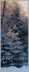 IMG_6856