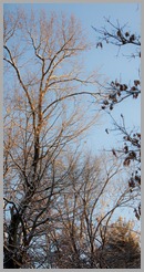 IMG_6857