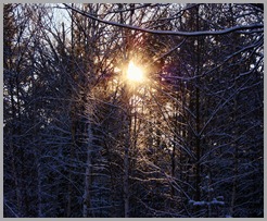 IMG_6860
