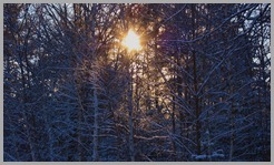 IMG_6865