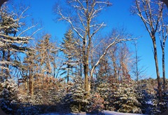 IMG_6867