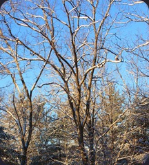IMG_6869 (2)