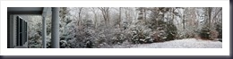 Morning snow 2-22-12