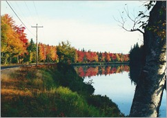 Foliage looking north on the Androscoggin