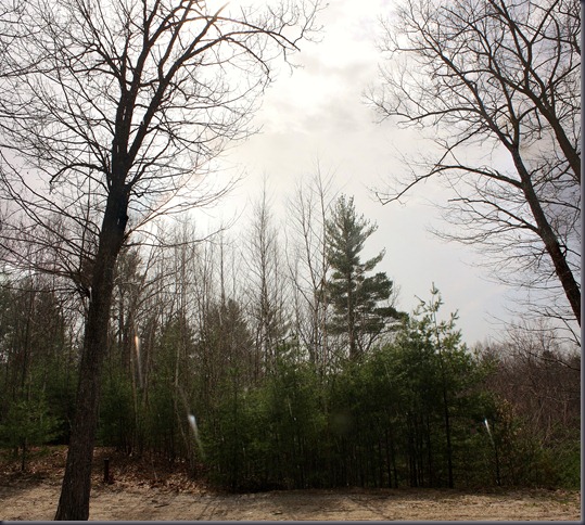 IMG_7429 Stitch (2)