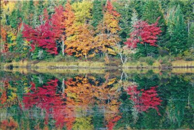 click to enlarge Ripples