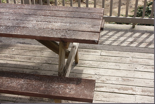 Sunny rain, snow, sleet shower