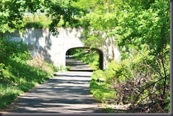 2012-05-19 057