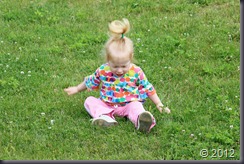 2012-06-11 024 (2)