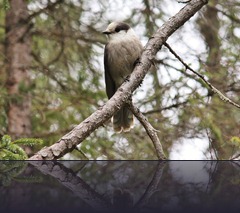 IMG_7679 IMG_7679
