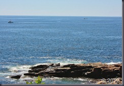 2012-07-03 018