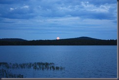 2012-07-03 061