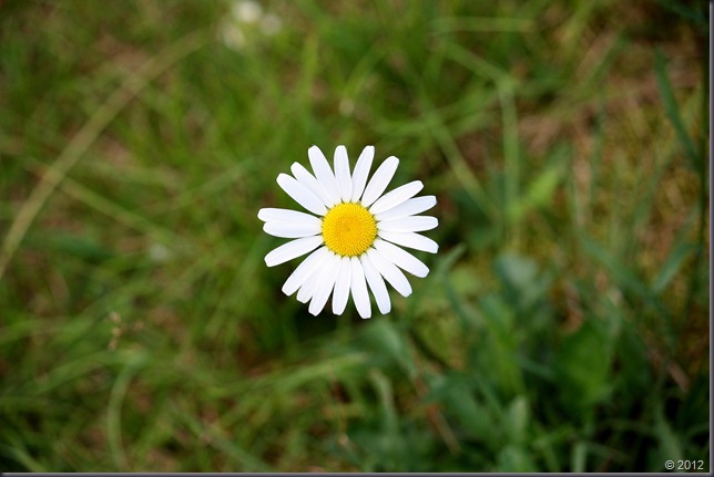 032 032