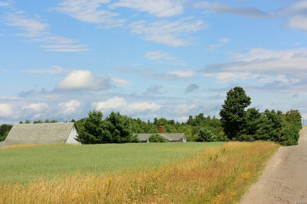 The Old Farmer Too