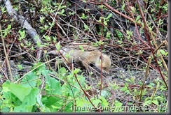039 (2) We all just need to find our way.