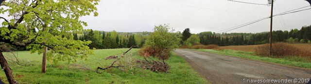 click to enlarge The Spot, my favorite place on the farm.