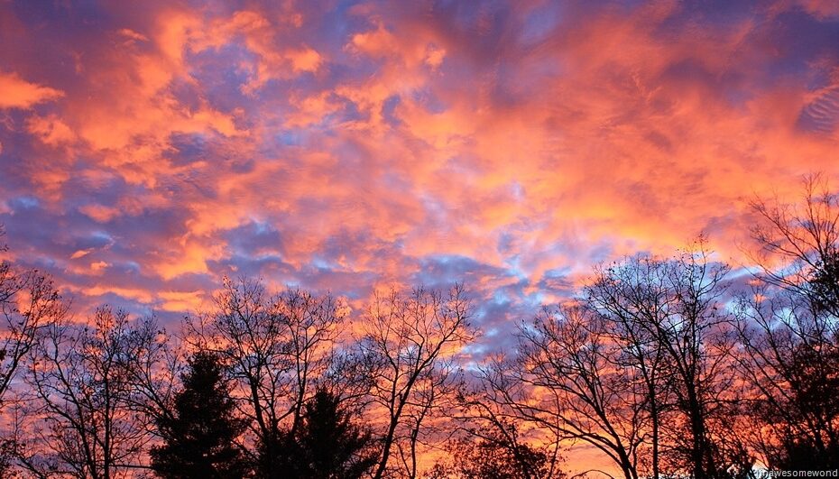 I picked this because the sky looks over all of us
