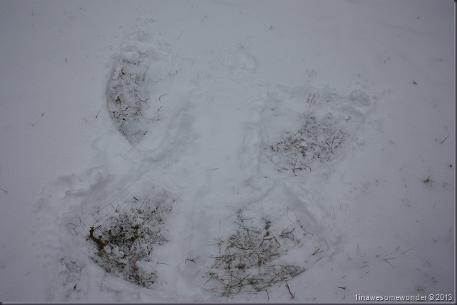 Theodore's snow angel. For the record, he made me go back after and use my hands to improve the size of his angels head, saying he had left it too small.