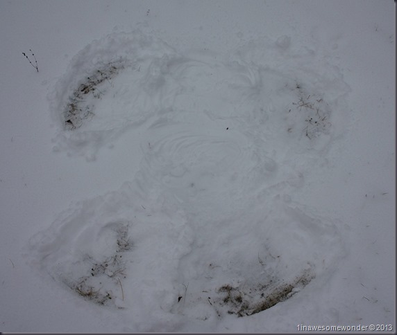 Jacqueline's snow angel. She wanted to bring it inside.