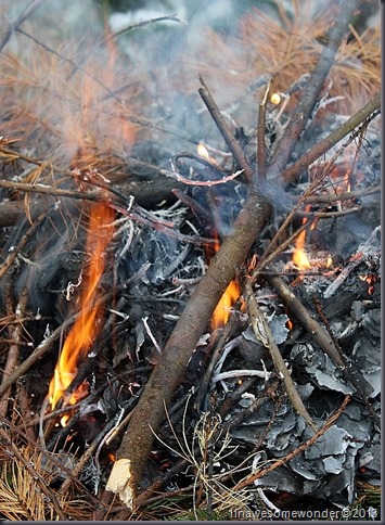 I did start a small fire to assist in warming the twins up. It helped for only a few minutes. Perhaps the continuous diet of snow didn't help my effort.