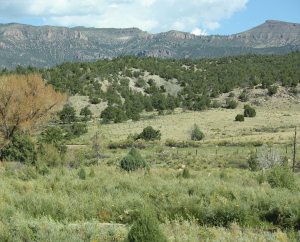 Colorado