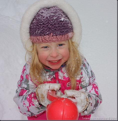 How could you not want a snowball from this little cutie?
