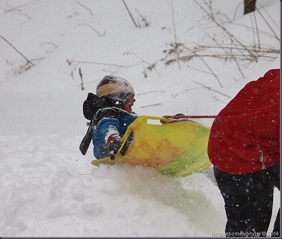 Theodore was loving the sled rides!