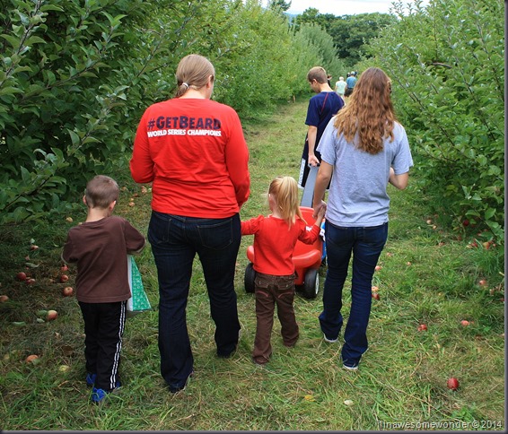 The crew heads into the orchard for this year's pickings.