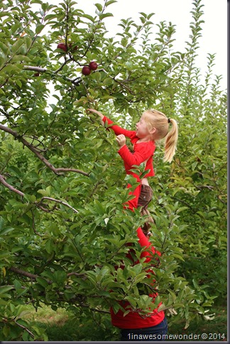 Jacqueline and Mom use teamwork to pick some apples