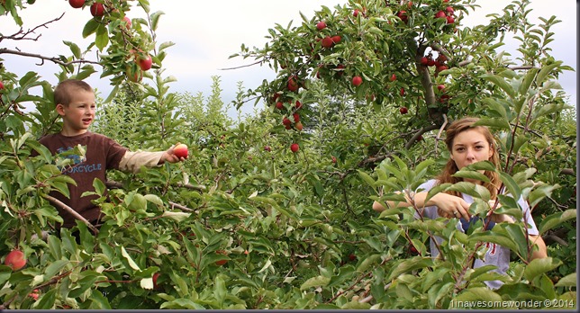 Erin and Theodore working together to get our bag of apples filled