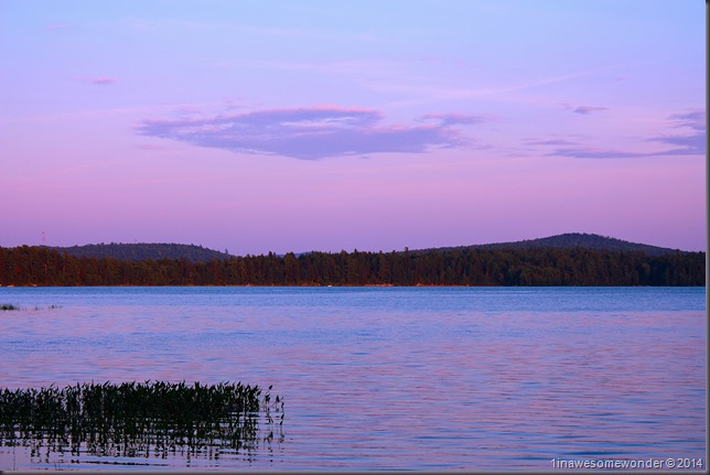 Lavender Lake - Abrams Pond 2014