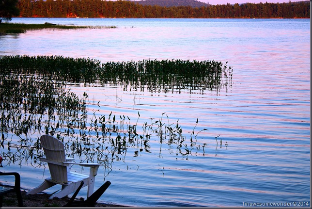 Pull up a seat - Abrams Pond 2014