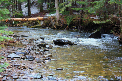 Coon Brook - Pittsburg, NH