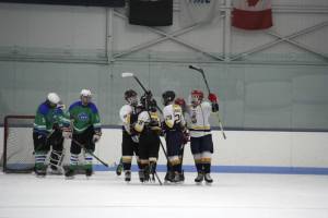 Avs score a goal against Advantage Ice. (Photo by Terri P)