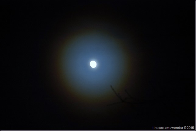 Snow Ring around moon