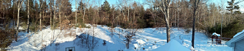 Panorama from my cell phone while standing atop my garage. Looking north and east toward the backyard. (photo by 1inawesomewonder)