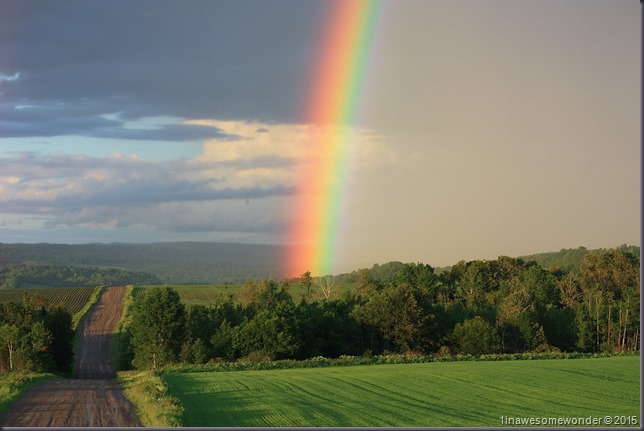 Dryer Road Rainbow