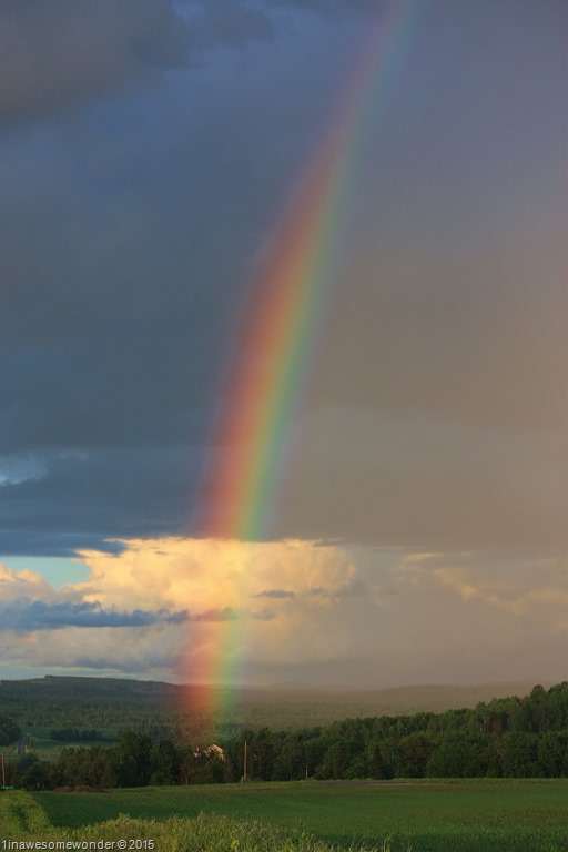 NB-RAINBOW-.jpg