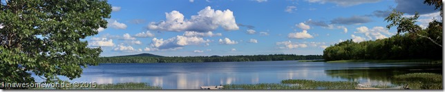 Abrams Pond 2015