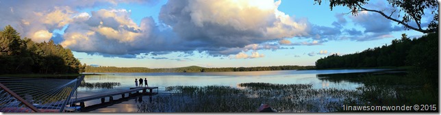 Abrams Pond Evening 2015