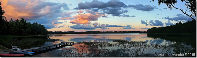 Abrams Pond Sky 2015