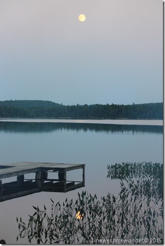 Calm reflection