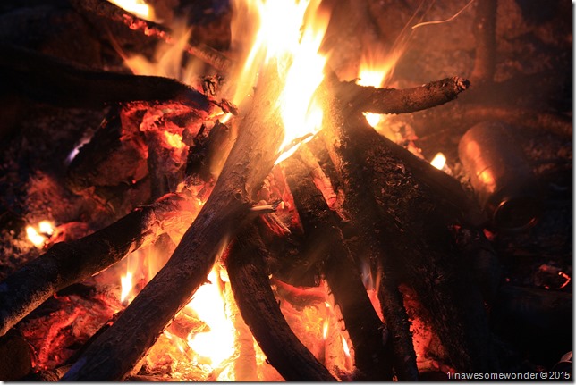 Lakeside fire