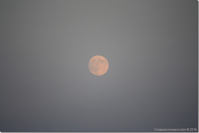 SuperMoon Eve
