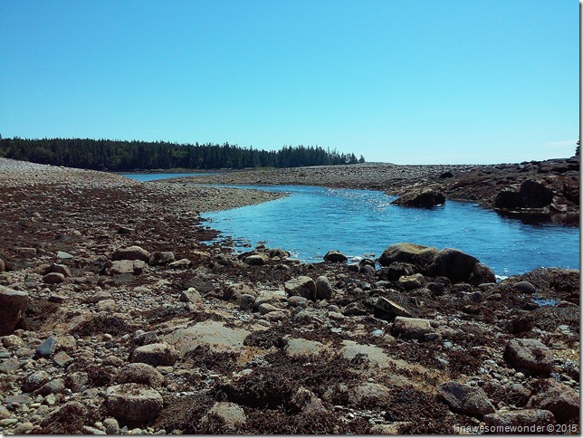 The incoming tide creates a river from one basin down to another