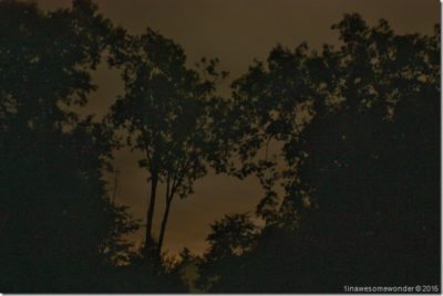 Huddled In The Dark